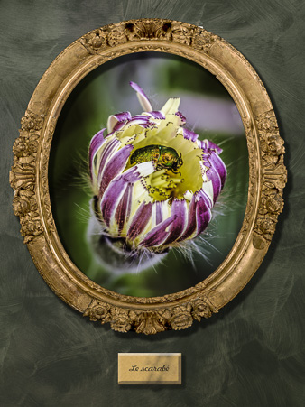 Galerie des survivants